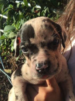 IMG_20170830_233718_01